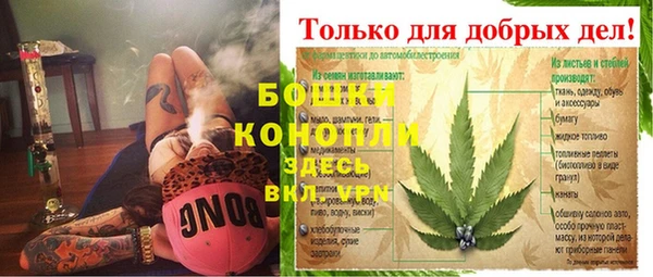 сатива Абаза