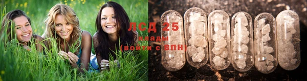 крисы Алексин